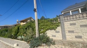 Новофёдоровка 19-07-2025