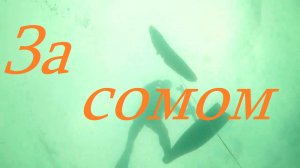 Подводная охота на сома.