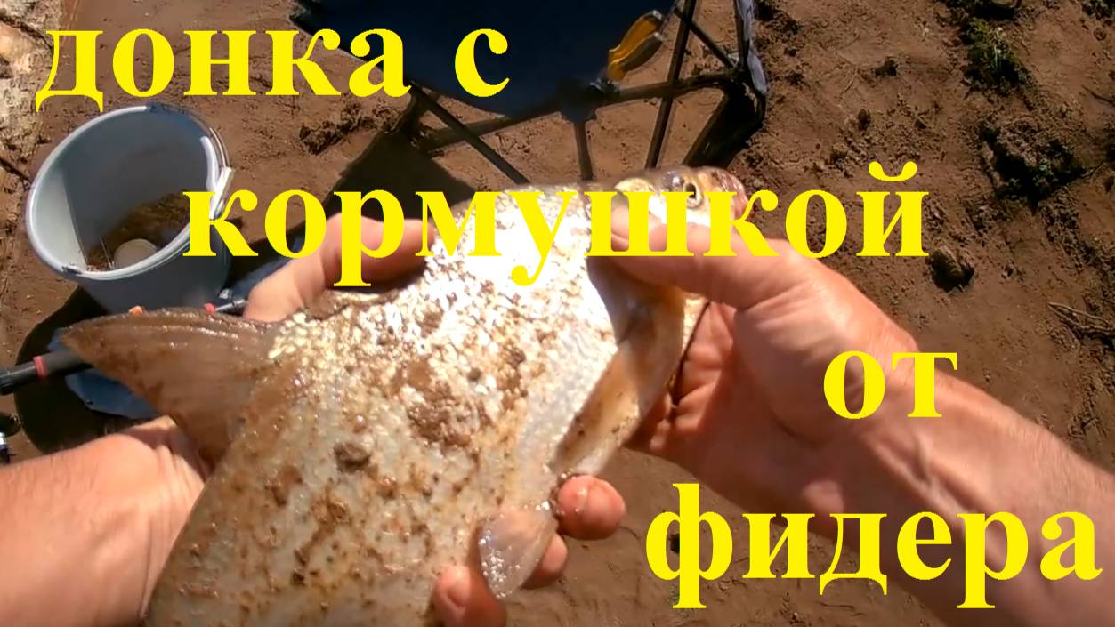 На донку с кормушкой. Выезд на мирную рыбу. смотреть онлайн