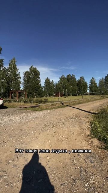 Наши прогулки