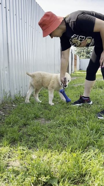 СУРДАН КАРАШ ЦЕЗАРЬ