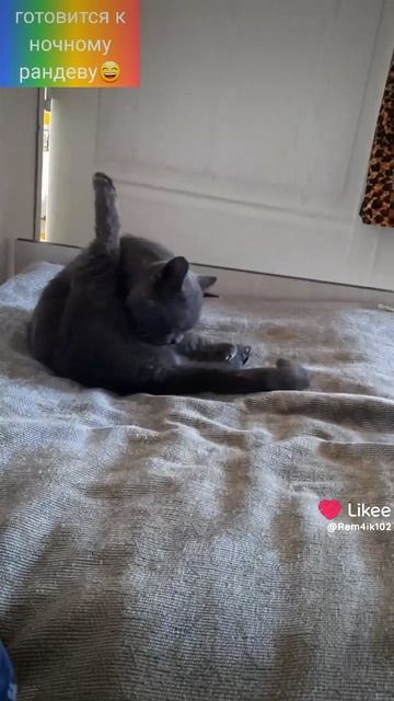 готовится в ночную смену😄 смотреть онлайн