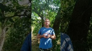 Эта жизнь живёт сама себя