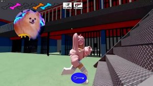 ВОРУЮ КОСТОЧКИ В РОБЛОКС ЧТО БЫ ВЫЖИТЬ ! ЗЛЫЕ СОБАЧКИ ХОТЯТ МЕНЯ ПОЙМАТЬ В ROBLOX