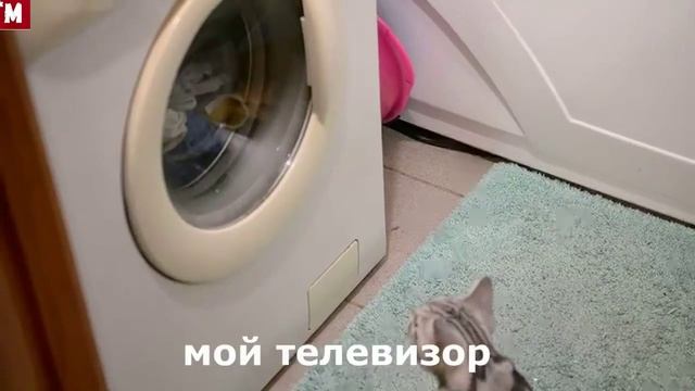 Елена Малышева рекомендует. Позы для мужчин при просмотре телевизора. Лежать здорово! смотреть онлайн