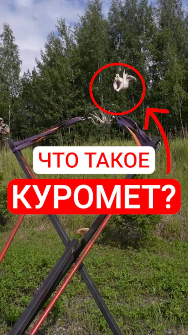 Что такое КУРОМЕТ? смотреть онлайн