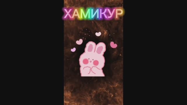 Как ухаживать за хомяком