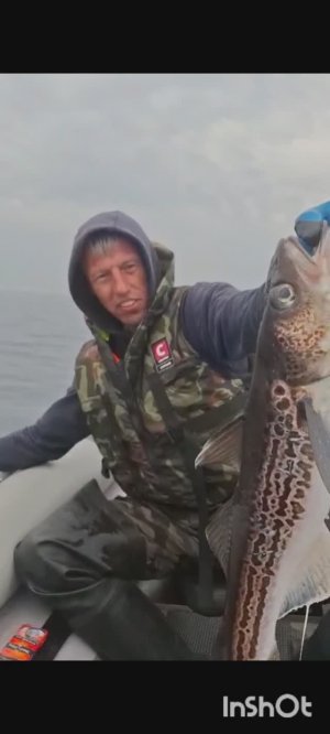 Голубой окунь на крючке. Охотское море, Мыс Свободный.