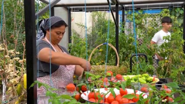 gunel samir рецепт кетчупа