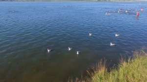 Озеро Тагарское.Кривинский сосновый бор.Минусинск