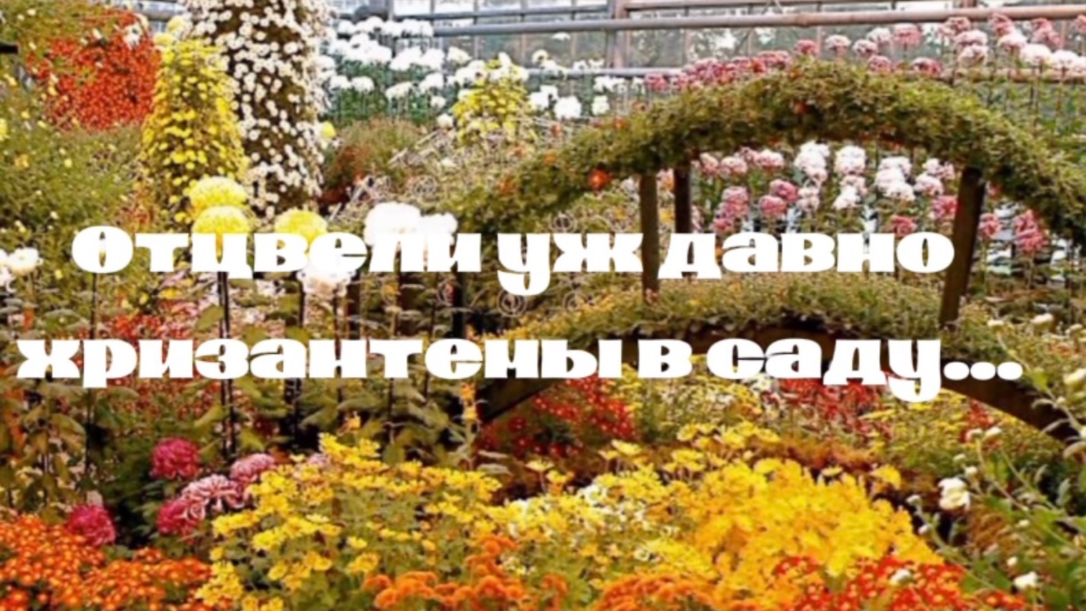 Отцвели уж давно хризантемы в саду . Романс смотреть онлайн