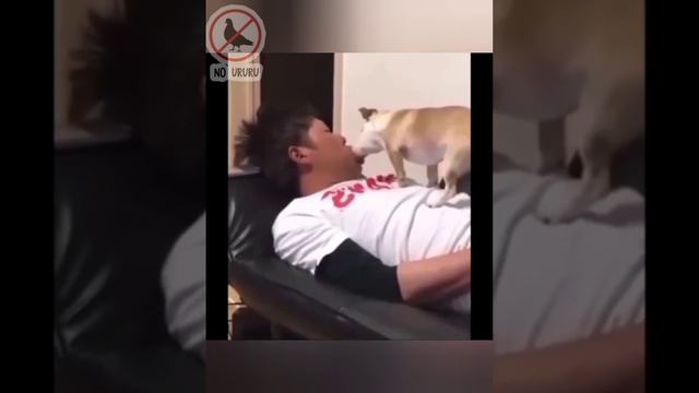 Когда приколы бьют по мозгу: 2