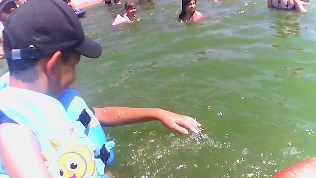 вайб на море смотреть онлайн