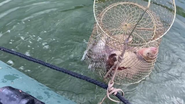 Первый блин комом😁