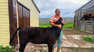 Наконец-то дождались! Почему куры перестали нести яйца? Перестраиваем старый дом в деревне.