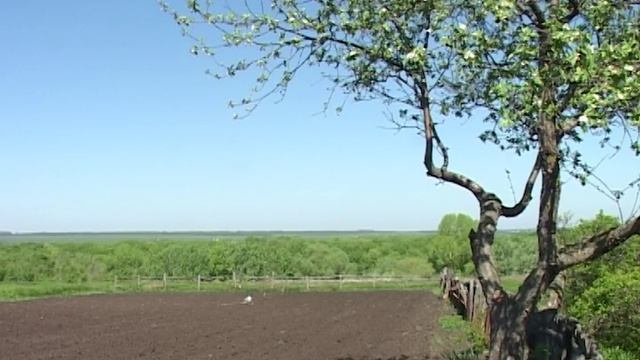 Лискинское телевидение. Екатерина Устенко (Ветеран ВОВ)