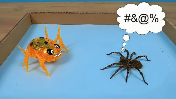 Что если тарантул Паулина встретит Робота Паука?