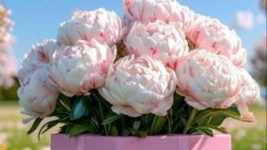 С Днем Рождения - Открытку с днем рождения женщине красивые бесплатно