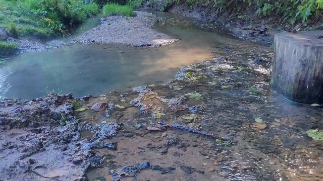 Музей-заповедник Коломенское смотреть онлайн