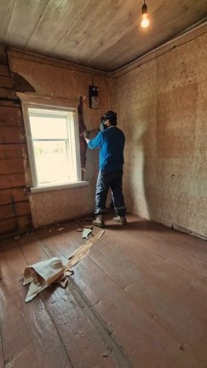 Дом оживает!