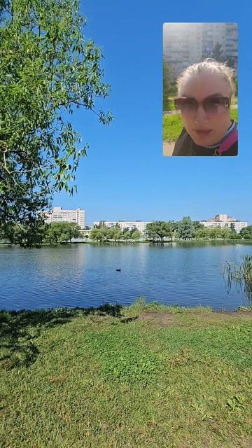 Санкт-Петербург / аренда квартир