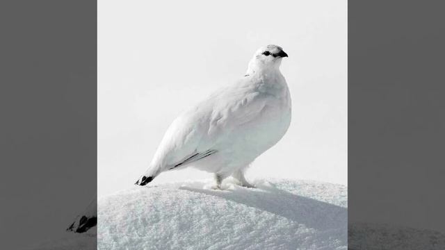 Это интересно-35