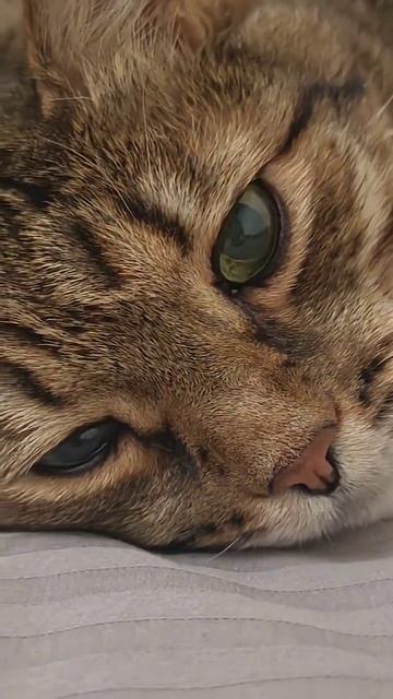 Очень ответственный 🤔🙀😉🤣👍🚀