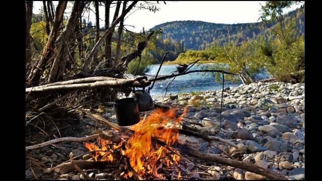 Виталий АКСЁНОВ - Душевный разговор - Лучшие песни@romantika_shansona #длядуши #михалыч