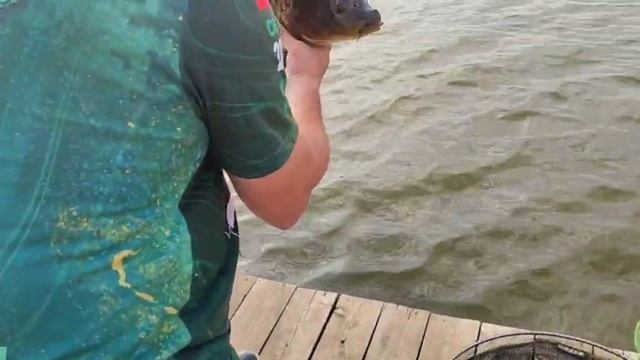 WhatsApp Video 2025-07-19 at 08.45.42 (1) смотреть онлайн