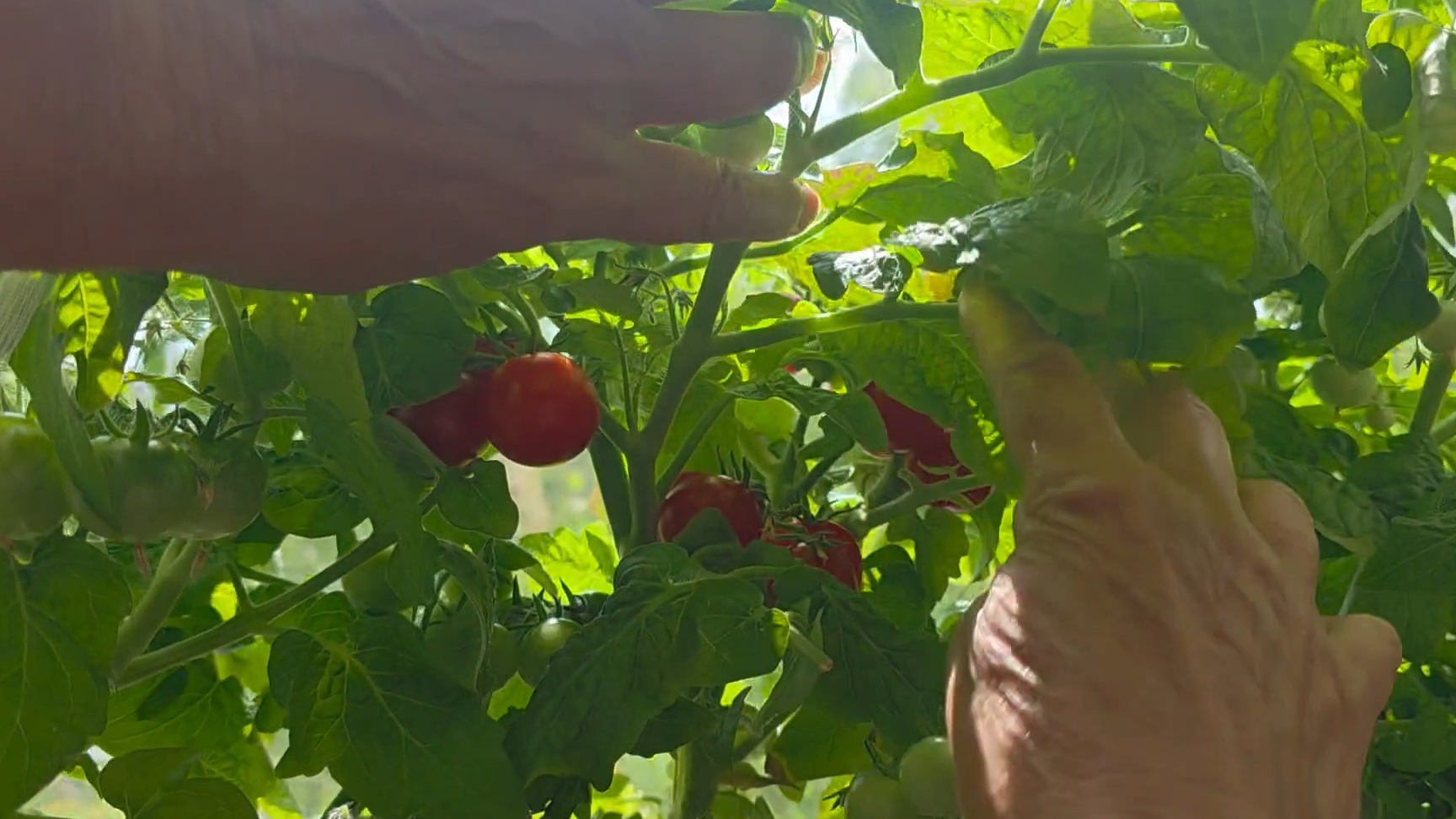 ревизия у Фёдоровна смотреть онлайн