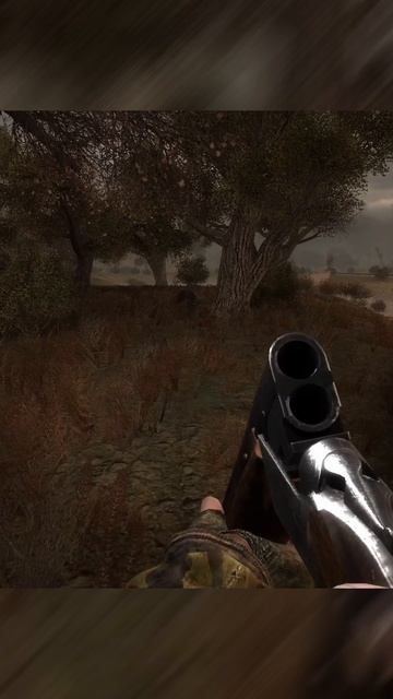 НУ И ЛАДНО | СТАЛКЕР ВОЗВРАЩЕНИЕ В ЗОНУ смотреть онлайн