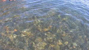 Море супер чистое Пляж Дюрсо Поддержи подпиской