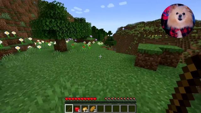 ПЕРВЫЙ ДЕНЬ В МАЙНКРАФТ ! ВЫЖИВАЮ В МАЙНКРАФТ - СТРОЮ ПЕРВЫЙ ДОМИК | MINECRAFT смотреть онлайн