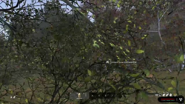 рп сталкер дейз