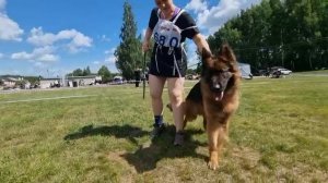 ЮНИОРЫ КОБЕЛИ ДШ / КЧК ТЮМЕНЬ 5 июля`25 А.Буйнова Моно немецких овчарок