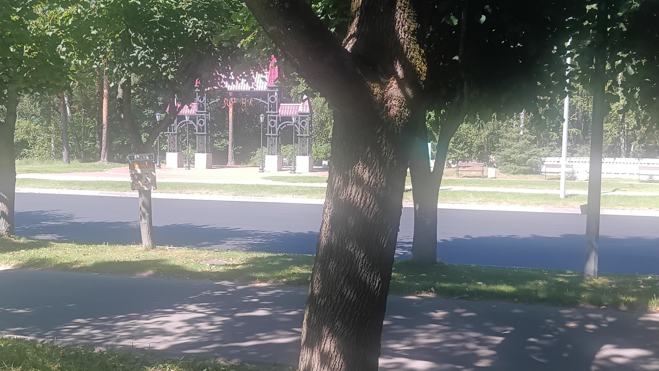 Прогулка по сосновому бору смотреть онлайн