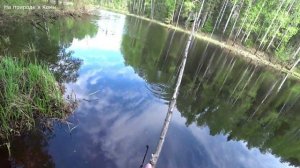 Рыбалка на доночную снасть, ловлю плотву. Поставил донки на щуку на озере. 3 серия