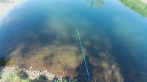 Продолжение тестов на шнурах от Aqua ultra PE 0,04мм, Dayo nano braid X3 0,03мм