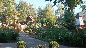 Парк отдыха в нашем посёлке. Лебеди в пруду.