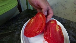 Обзор томатов. Минусинские сорта