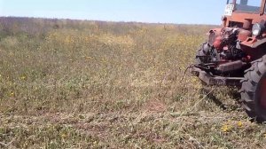 Трактор🚜 Т-16 приехал об косить сенокос 19 Июля 2025 год