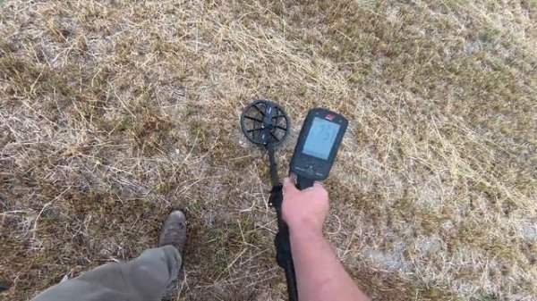 [RUS] Minelab Manticore выбор катушки
