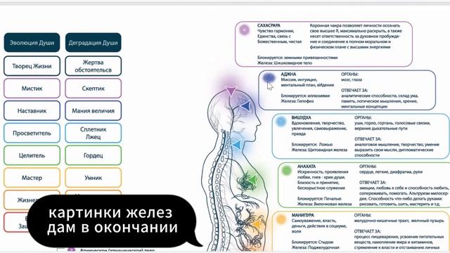 Джуна. центры, чакры