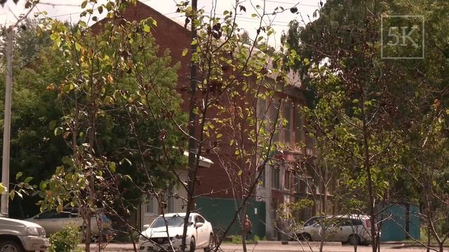 Стульчики, установленные на аллее "Юбилейной", разлетелись по "всему свету", как те лепестки цветика смотреть онлайн
