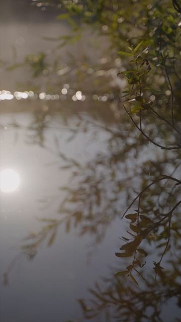 Golden Ring Ultra Trail 100 2025 - Медаль Suvorov Extreme 30k смотреть онлайн