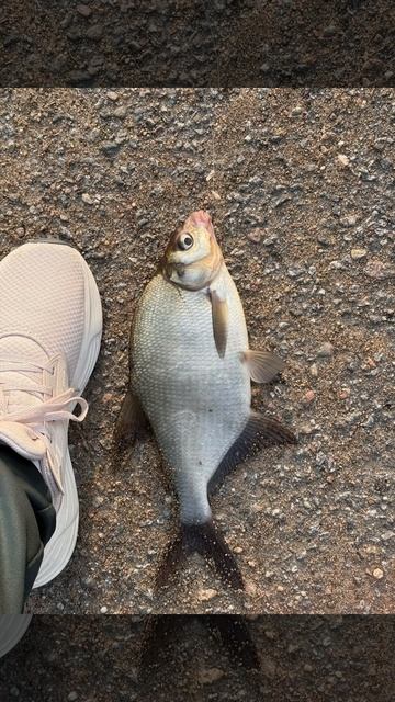 Улов супер!