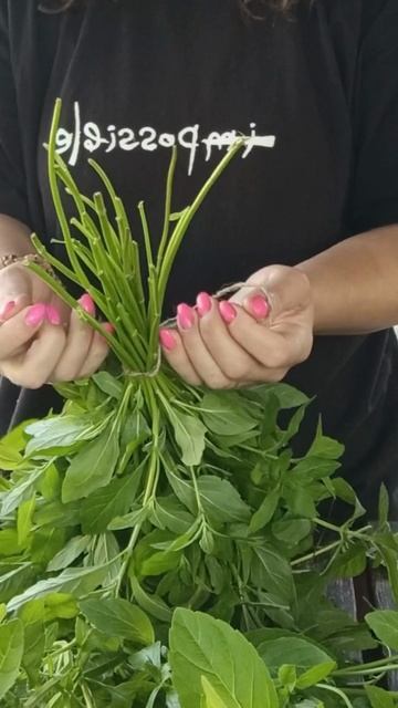 Лайфхак для сушки мяты