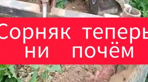 Как избавиться от сорняков с помощью мотоблока и дополнительных приспособлений.