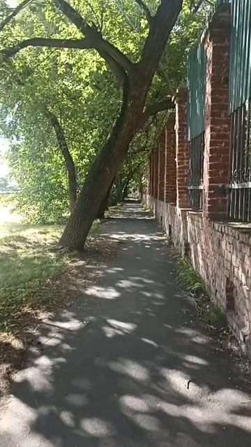 Сейчас я стала себя беречь