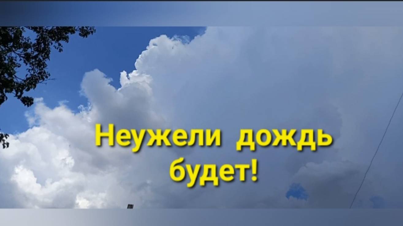 Неужели будет дождь?❗️ смотреть онлайн